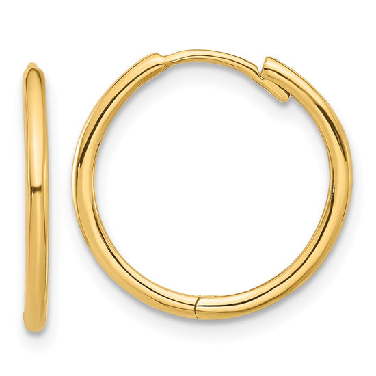 Gold Hinged Hoop Earrings