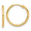 Gold Hinged Hoop Earrings