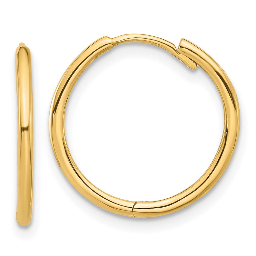 Gold Hinged Hoop Earrings