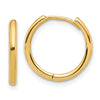 Gold Hinged Hoop Earrings