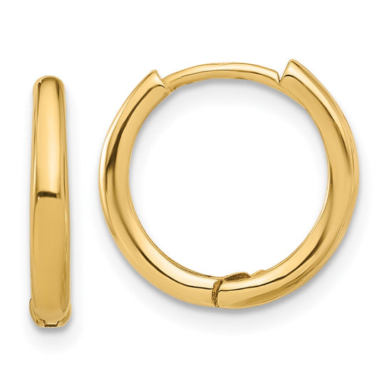 Gold Hinged Hoop Earrings