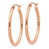 Oval Hoop Earrings