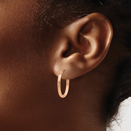 Oval Hoop Earrings