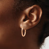 Oval Hoop Earrings