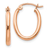 Oval Hoop Earrings