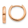Gold Circle Hinged Hoop Earrings