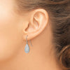 Gold Diamond-cut Teardrop Shepard Hook Earrings