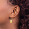 Gold Diamond-cut Teardrop Shepard Hook Earrings