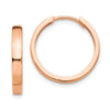 Gold Circle Hinged Hoop Earrings