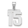 Polished Number Charms — 15