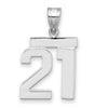 Polished Number Charms — 21