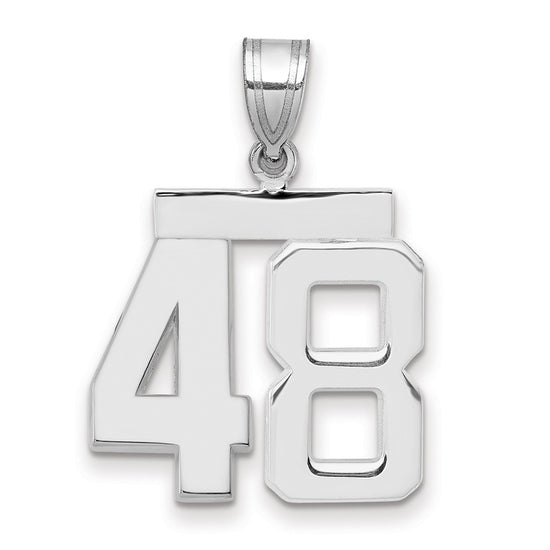 Polished Number Charms — 48