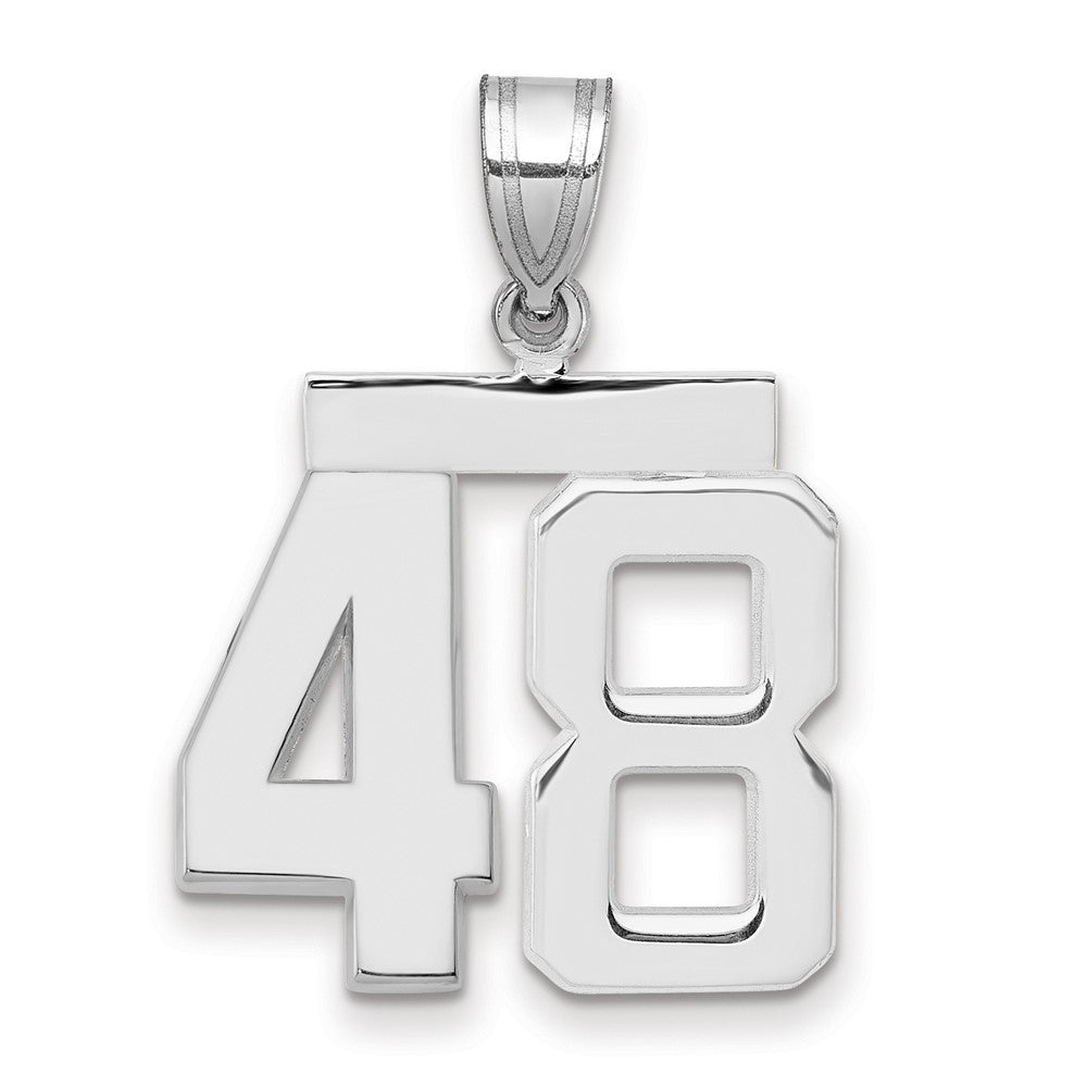 Polished Number Charms — 48