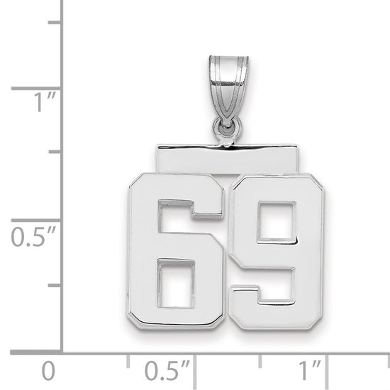 Polished Number Charms — 69