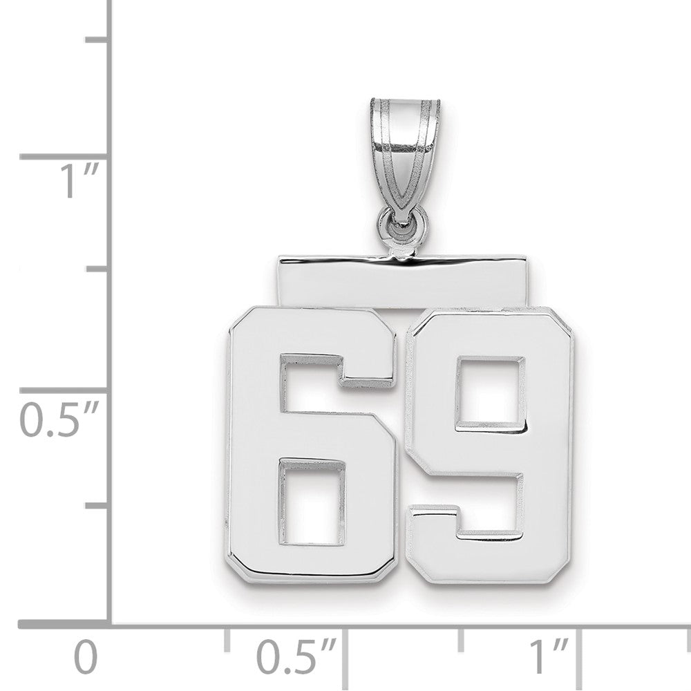 Polished Number Charms — 69