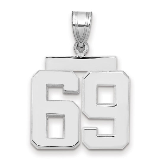 Polished Number Charms — 69
