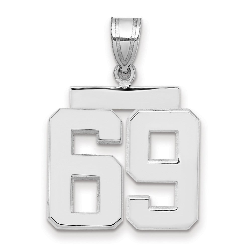 Polished Number Charms — 69