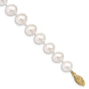 14k White Near Round Freshwater Cultured Pearl Bracelets
