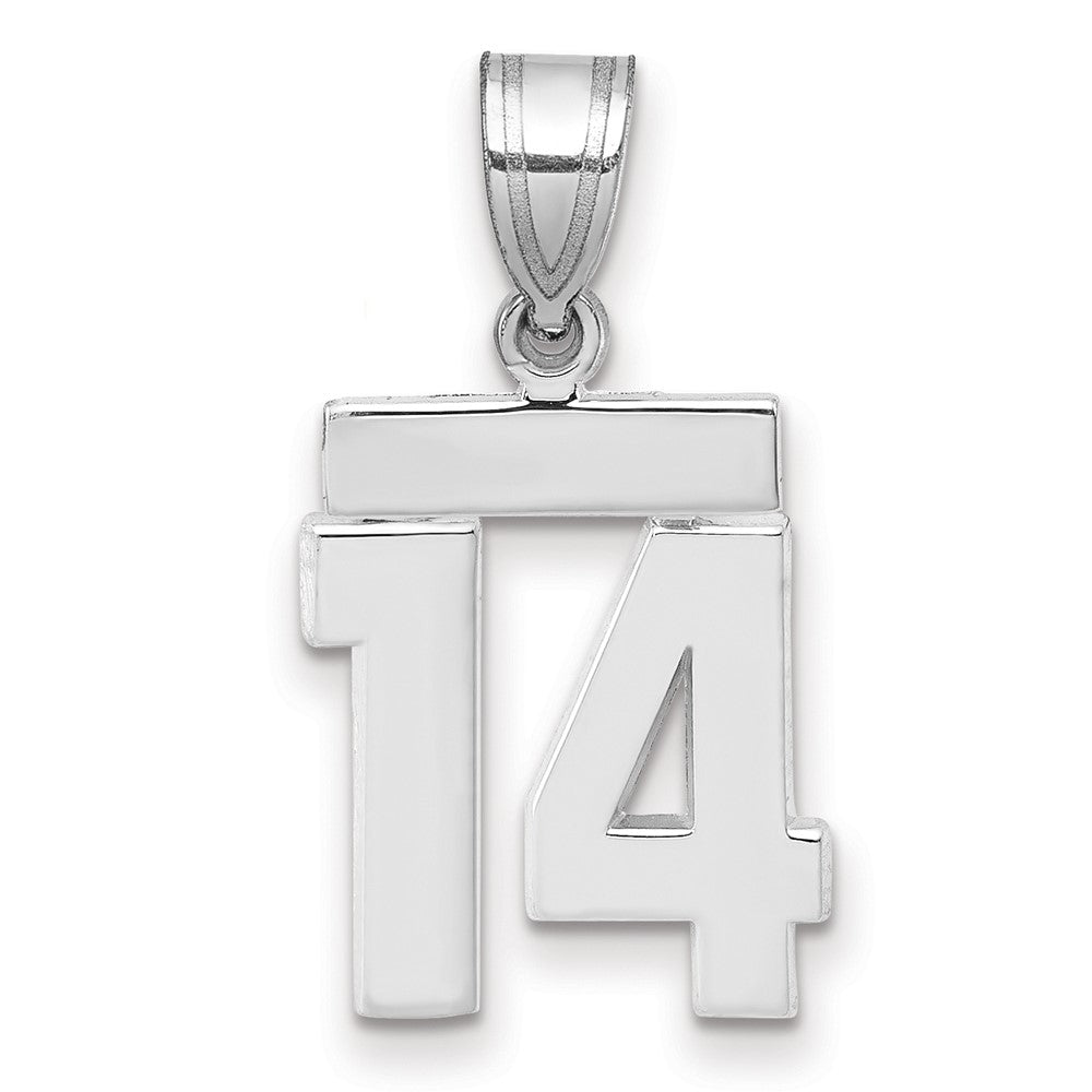 Polished Number Charms — 14