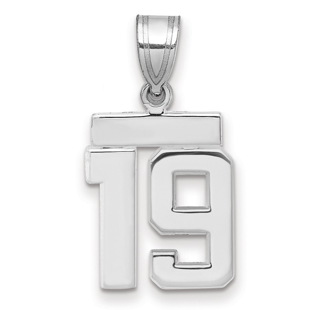 Polished Number Charms — 19