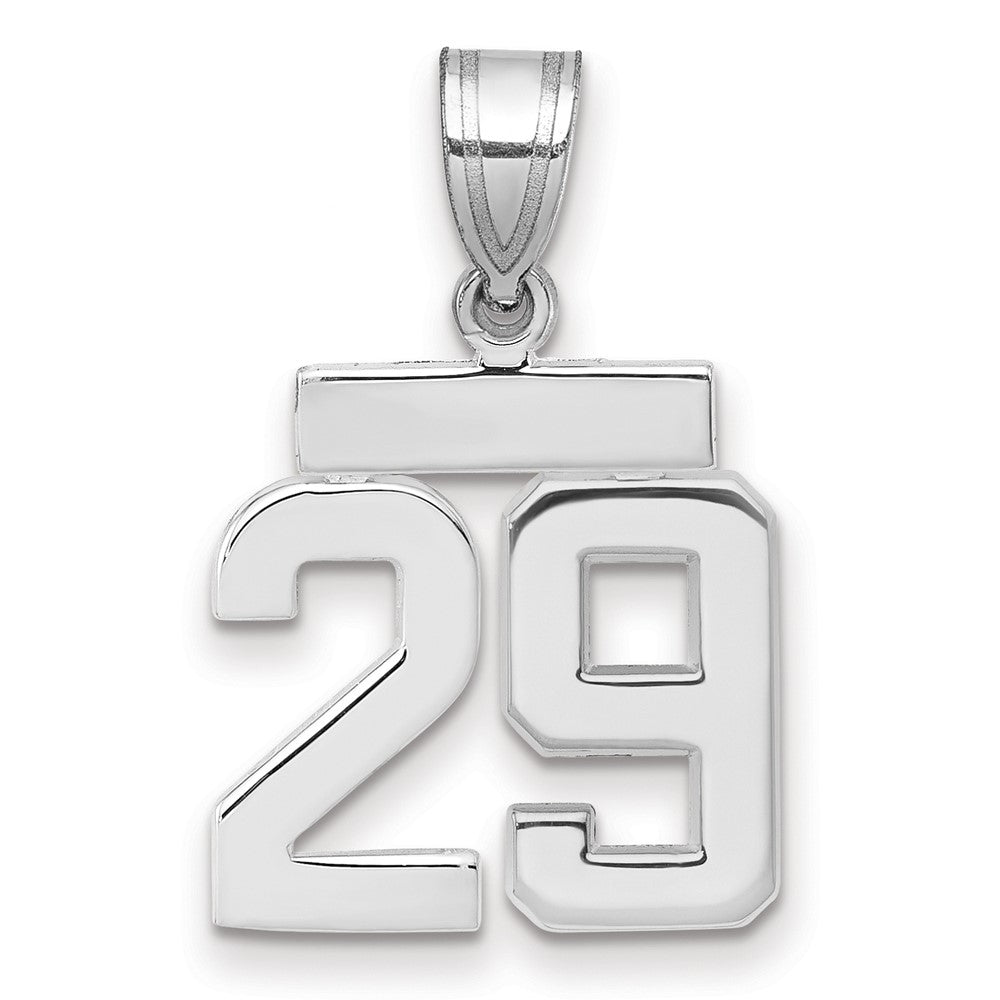 Polished Number Charms — 29