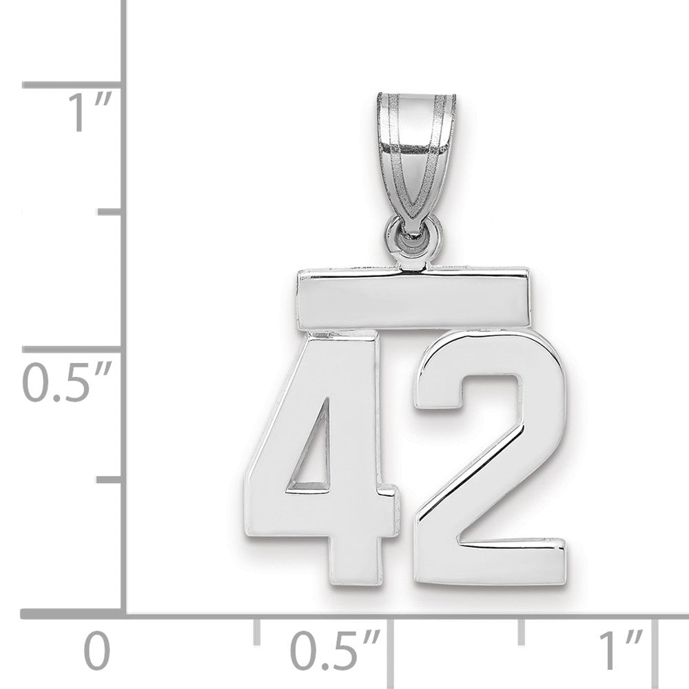 Polished Number Charms — 42