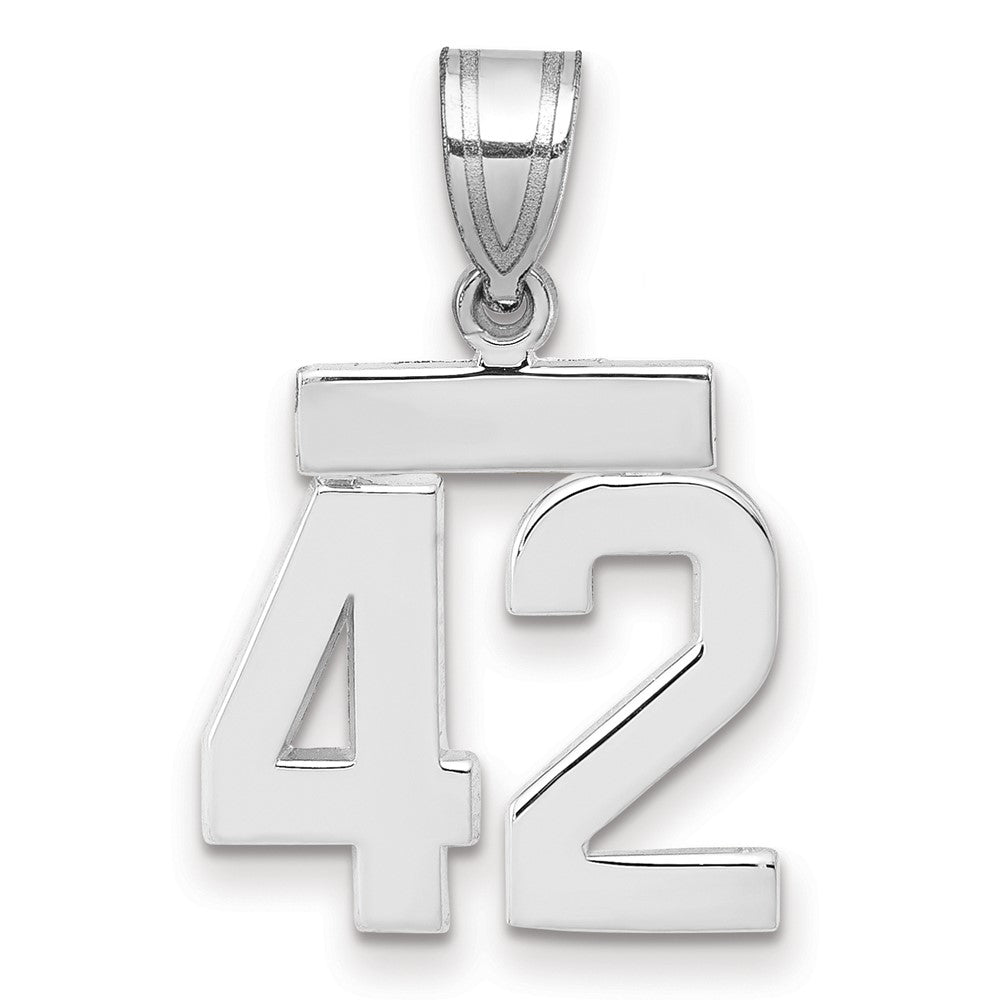 Polished Number Charms — 42