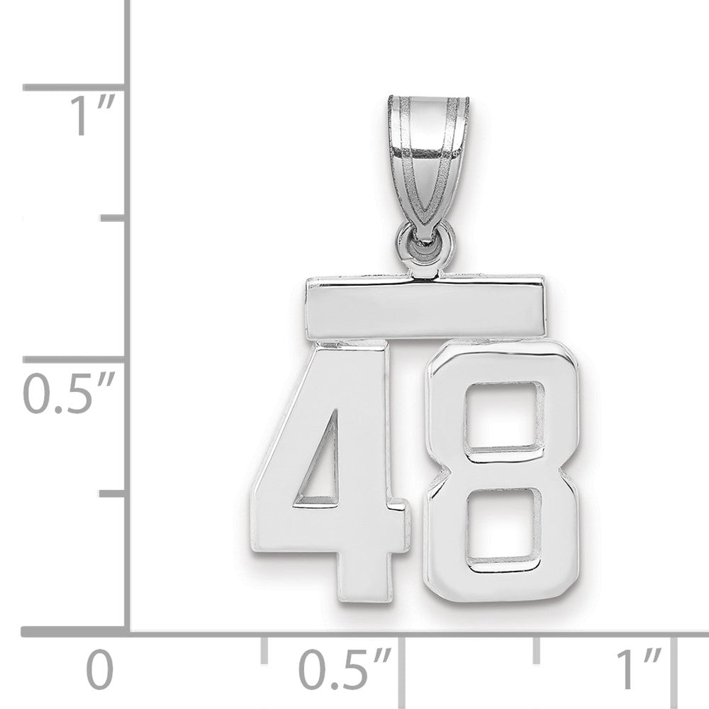 Polished Number Charms — 48