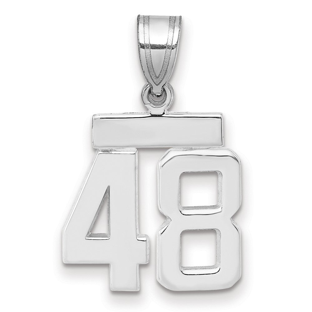Polished Number Charms — 48