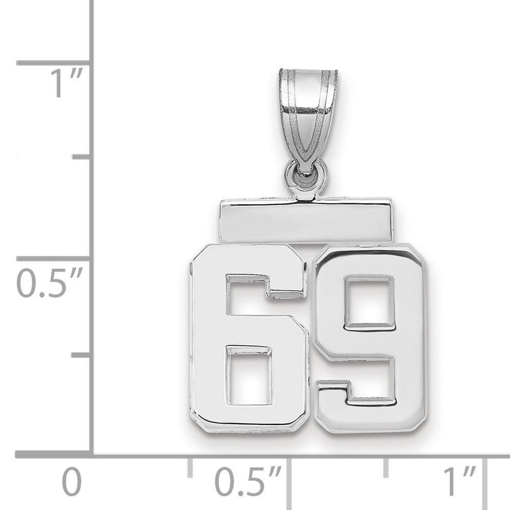 Polished Number Charms — 69
