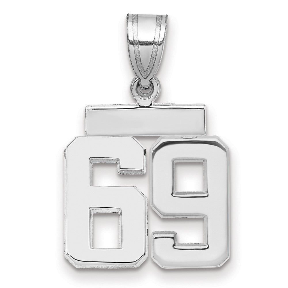 Polished Number Charms — 69