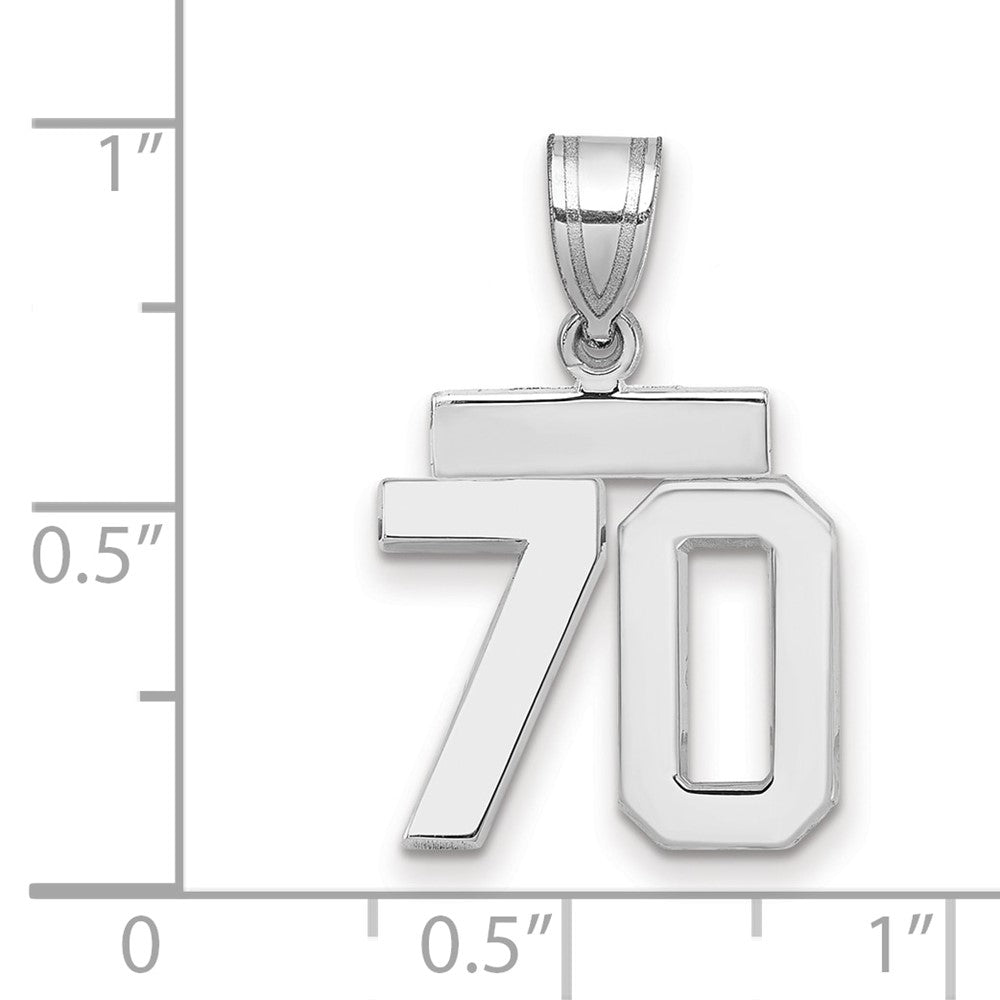 Polished Number Charms — 70