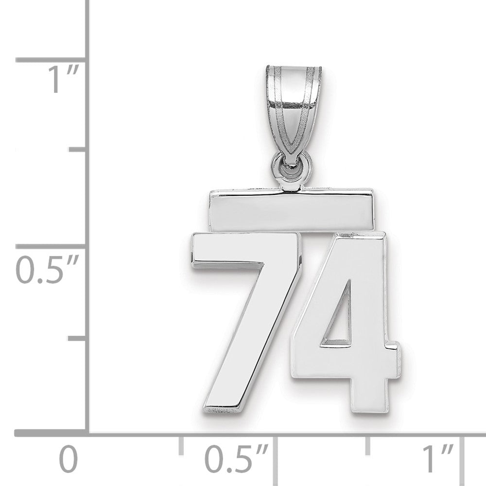 Polished Number Charms — 74