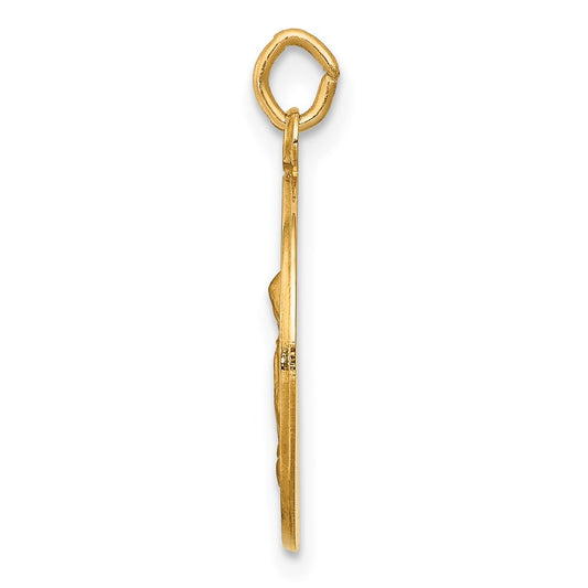 14k Polished and Satin Solid Saint Anne Medal Charm