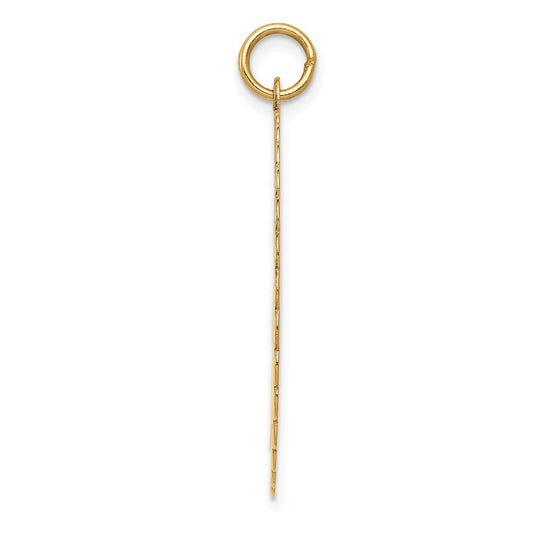 14K 50th ANNIVERSARY 29mm Engravable Disc Charm