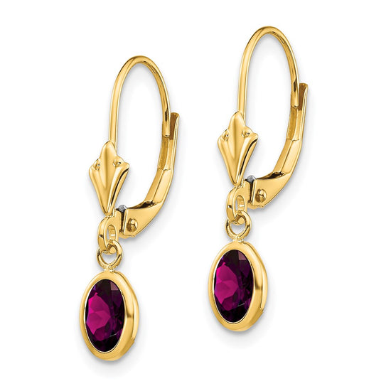 14k 6x4 Oval Bezel June/Rhodolite Garnet Leverback Earrings