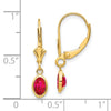 14k 6x4 Oval Bezel July/Ruby Leverback Earrings