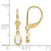 14k 6x4 Oval Bezel October/Opal Leverback Earrings