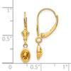 14k 6x4 Oval Bezel November/Citrine Leverback Earrings