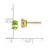 14k Oval Post Earrings