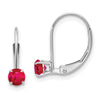 Leverback Birthstone Earrings Basket Setting