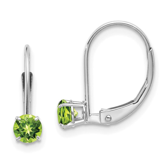Leverback Birthstone Earrings Basket Setting