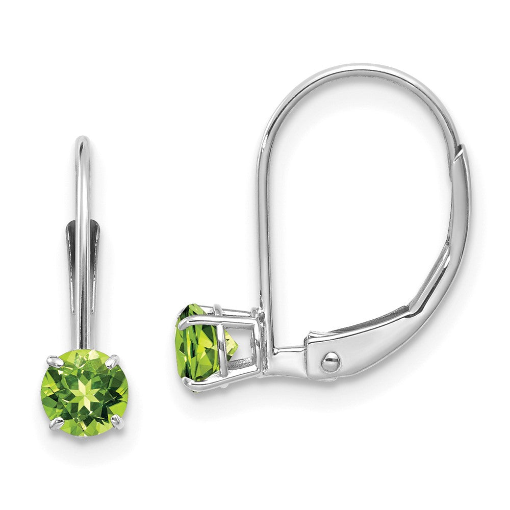 Leverback Birthstone Earrings Basket Setting
