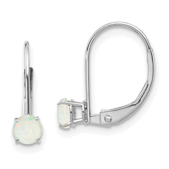 Leverback Birthstone Earrings Basket Setting