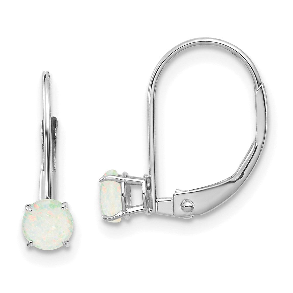 Leverback Birthstone Earrings Basket Setting