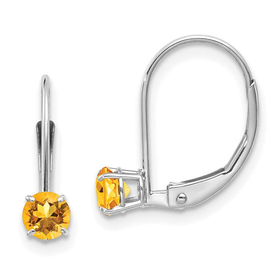 Leverback Birthstone Earrings Basket Setting