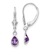 14k White Gold 6x4 Pear Bezel February/Amethyst Leverback Earrings