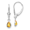 Leverback Birthstone Earrings Bezel Setting