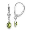 Leverback Birthstone Earrings Bezel Setting