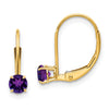 Leverback Birthstone Earrings Basket Setting